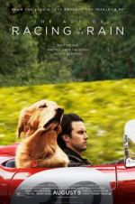 Watch The Art of Racing in the Rain Movie4k