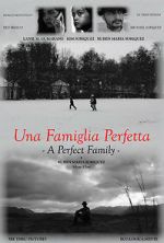 Watch A Perfect Family Movie4k