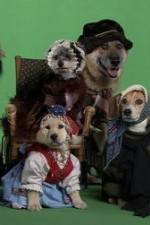 Watch Heidi 4 Paws Movie4k