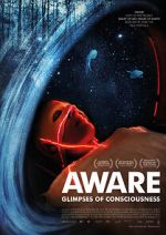 Watch Aware: Glimpses of Consciousness Movie4k