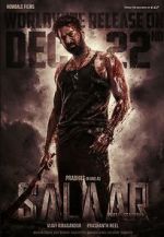 Watch Salaar Movie4k