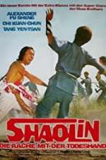 Watch The Shaolin Avengers Movie4k