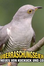 Watch �berraschungseier: Neues von Kuckuck und Co. Movie4k