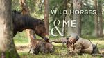 Watch Wild Horses, the Rockies and Me (TV Special 2025) Movie4k