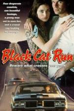 Watch Black Cat Run - Tödliche Hetzjagd Movie4k