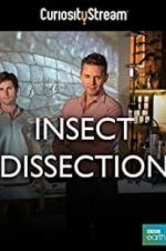 Watch Insect Dissection: How Insects Work Movie4k