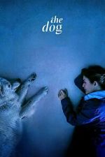 Watch The Dog Movie4k