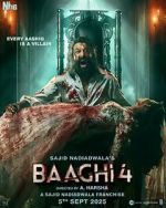 Watch Baaghi 4 Movie4k