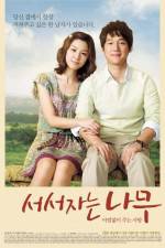 Watch Sleeping Tree Movie4k