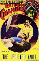 Watch The Return of Chandu Movie4k