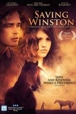 Watch Saving Winston Movie4k