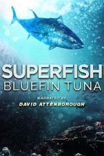 Watch Superfish Bluefin Tuna Movie4k