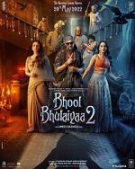 Watch Bhool Bhulaiyaa 2 Movie4k
