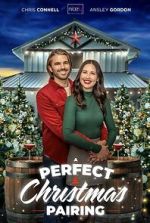 Watch A Perfect Christmas Pairing Movie4k