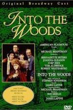 Watch Into the Woods Movie4k