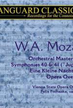 Watch Whiteforce Movie4k