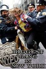 Watch NYPD: Biggest Gang in New York? Movie4k