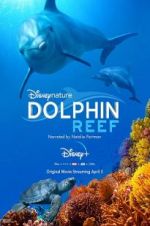 Watch Dolphin Reef Movie4k