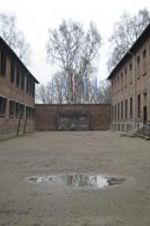Watch Made in Auschwitz: The Untold Story of Block 10 Movie4k