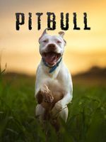 Watch Pitbull Movie4k