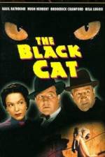 Watch The Black Cat Movie4k