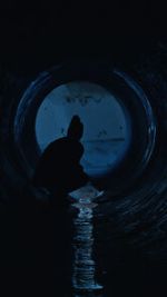 Watch Gwafi (Short 2022) Movie4k