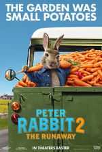 Watch Peter Rabbit 2 Movie4k