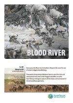 Watch Blood River Crossing Movie4k