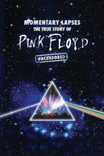 Watch Pink Floyd: Momentary Lapses - The True Story Of Pink Floyd Movie4k