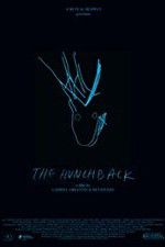 Watch The Hunchback Movie4k