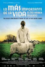 Watch The Most Important Thing in Life Is Not Being Dead Movie4k