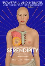 Watch Serendipity Movie4k