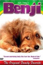 Watch Benji Movie4k