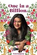 Watch Zarna Garg: One in a Billion Movie4k