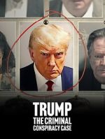 Watch Trump: The Criminal Conspiracy Case Movie4k