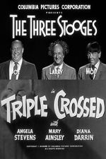 Watch Triple Crossed Movie4k