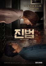 Watch The Culprit Movie4k