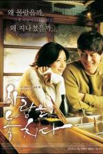 Watch Lost in Love Movie4k