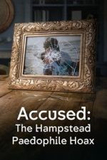 Watch Accused: The Hampstead Paedophile Hoax Movie4k