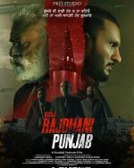 Watch Rajdhani Punjab Movie4k