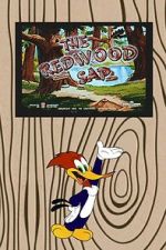 Watch The Redwood Sap (Short 1951) Movie4k