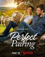 Watch A Perfect Pairing Movie4k