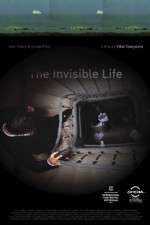 Watch A Vida Invis�vel Movie4k