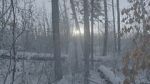Watch Once There Was a Winter Movie4k