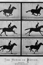 Watch Sallie Gardner at a Gallop Movie4k