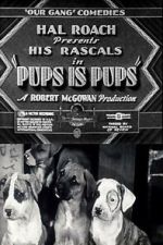 Watch Pups Is Pups Movie4k