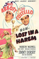 Watch Lost in a Harem Movie4k