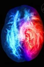 Watch Brain on Fire Movie4k