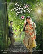 Watch Neeyum Njanum Movie4k