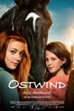 Watch Windstorm 4: Ari\'s Arrival Movie4k